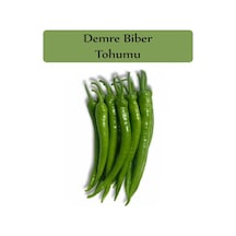 Sera Demre Biber Tohumu 1 Paket Demre Biber Tohumu Kapalı Paket Yüksek Verimli Tohum