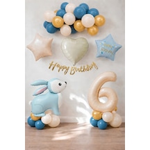Mavi Tavşan Temalı 6 Yaş Doğum Günü Balon Seti
