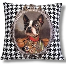 Kaz Ayak Kral Boston Terrier Çok Renkli