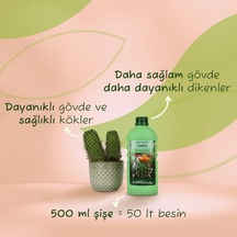 500 ML