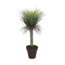 Yapay Nolina Ağacı 115 Cm-8783