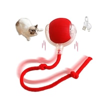 Şarjlı Kedi Oyuncağı