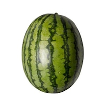 Nadir Meşhur Dev Adana Karpuzu Tohumu 5 Tohum Karpuz Tohumu