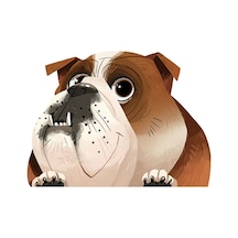 Ingilizce Bulldog Pet Araba Sticker 18Cm Yapıştırma