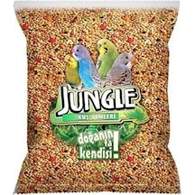 500 G
