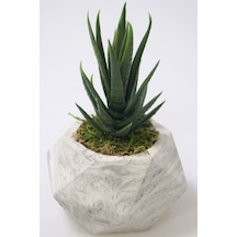 Yapay Çiçek Deposu Handmade Beton Saksıda Yapay Succulent Sukulent 16 Cm Model-1 Grafiti Gri