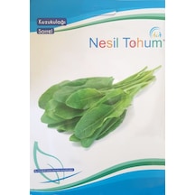Kuzukulağı Ekşiot Tohumu 5 GR