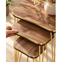 Odera Ceviz Detaylı Zigon Sehpa 3'lü Set Metal Ayaklı Modern Retro Salon Sehpası Diğer