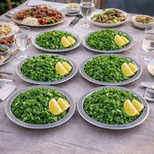20 Cm Servis Sunum Tepsisi 6 Adet 430 Kalite Krom Çelik Fırına Uygun, Kararma Yapmaz, Meze Kebap Kahve Sunumluk Gri