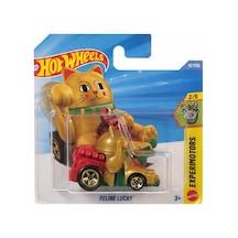Hot Wheels Experimotors Feline Lucky Jjj54 Çok Renkli
