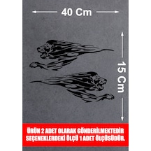 40X15 Cm