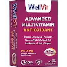 Wellvit Advanced Multivitamin 30 Kapsül
