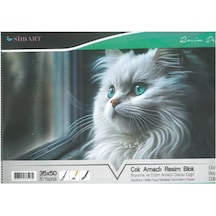 Sim Karton Kapak Spr Resim Defteri 34x48 15 Yp Kedili