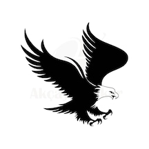 Kartal Oto Motor Laptop Duvar Folyo Sticker 30x27 Cm Lcst Lcst