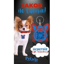 Petjoo 8.Jakob Mavi-Kırmızı Qr'lı Köpek Künyesi