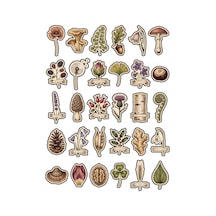 30 Adet Vintage Botanik Çiçek Sticker Seti - Laptop Defter Scrapbook İçin Çok Renkli