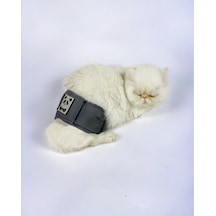 Kemique Kedi Çiş Bel Bandı Yıkanabilir Sızdırmaz Kedi Kıyafeti