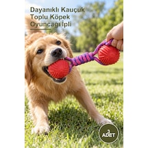 3 Adet Dayanıklı Kauçuk Toplu Köpek Oyuncağı İpli
