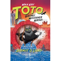 Ninja Kedi Toto Gizemli Mücevher Hırsızı