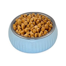 Mikopet Organik Seramik Mama Kabı Mavi