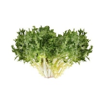 Nadir Ithal Kıvırcık Crinkled Tere Tohumu Ekim Seti 50 Tohum Saksı Toprak Kombin