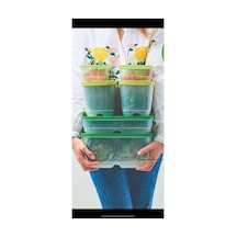 Sera Set 6 Lı Yeşil Sarı