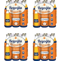 Beyoğlu Gazozu Turunçgiller Karışık Meyve Aromalı Gazlı İçecek 250 Ml X 24 Adet