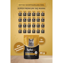 Reflex Plus Britsh Shorthair Yetişkin Kedi Konservesi 85gr X 24 Adet