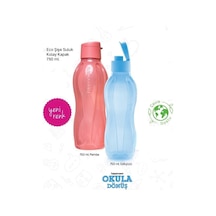 Eko Şişe Suluk 750 Ml 2 Li Pembe-mavi