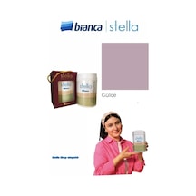 Stella Su Bazlı Saf Akrilik Boya 500ml - Gülce