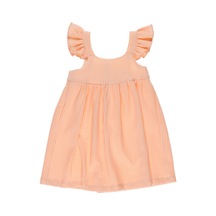 Panço Kız Çocuk fırfır Detaylı Çizgili Elbise Somon 001
