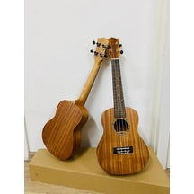 Üst Karma Markalı-Markasız Maun Ağacı Concert Boy Ukulele