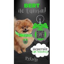 Petjoo 13.Bert Gri-Yeşil Qr'lı Köpek Künyesi