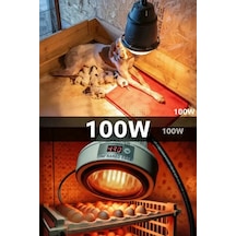 100w Kızılötesi İnfrared Isıtıcılı Hayvan Isıtma Ve Kuluçka Lambası Kırmızı Işık E27 Kalın Duy Lisinya