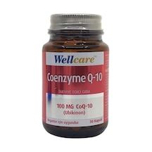 Wellcare Coenzyme Q-10 100 Mg 30 Kapsül