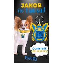 Petjoo 8.Jakob Mavi-Sarı Qr'lı Köpek Künyesi