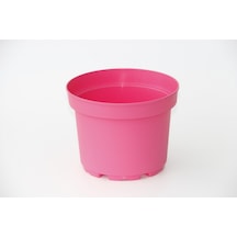 Pembe Saksı 20 Adet