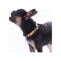 Citrus Narenciye Desenli Köpek Boyun Tasması Ayarlanabilir Köpek Tasması M Turkuaz