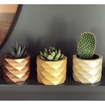 Beton Saksı Saksılık Kaktüs Ve Sukulentlik 3'lü Set Takım