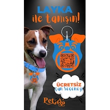 Petjoo 22.Layka Turuncu-Mavi Qr'lı Köpek Künyesi