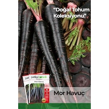 600 Adet Mor Havuç Tohumu
