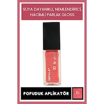 3d Lip Gloss Dudak Parlatıcı No:111
