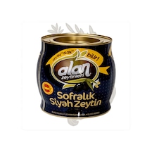Alan Gemlik Özel Special Zeytin