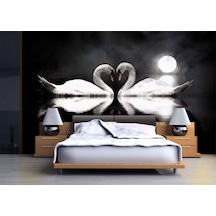 Ay Manzarasında Romantik Kuğular Duvar Kağıdı