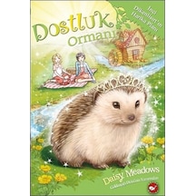 Dostluk Ormanı 6 - İnci Dikenlisırt'ın Harika Planı - Daisy Meadows - Beyaz Balina Yayınları