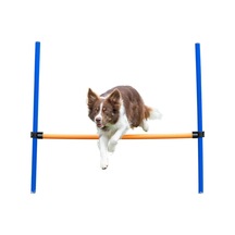 Trixie Köpek Agility Eğitim Manisi , 123 115 Ø3 Cm