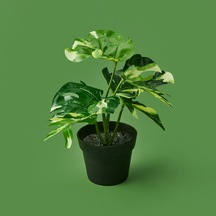 Botta Çiçek - Asorti - 24 Cm Çok Renkli