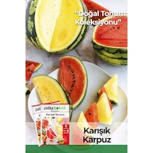 Patika Botanik 50 Adet Karışık Karpuz Tohumu Siyah, Alaca, Kışlık Sarı