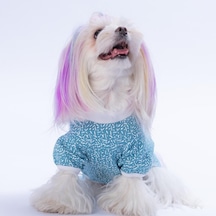 Blue-mavi Basic Kedi Köpek Sweat- Kedi Köpek Kıyafeti