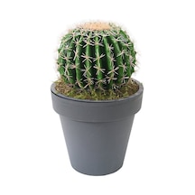 Yapay Altın Fıçı Barrel Kaktüs 47 Cm-2192
